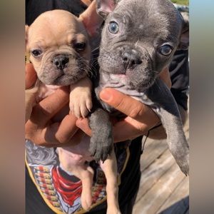 Hi am Klaw Need to clean my closet so u Can feel free to make offers! 😇